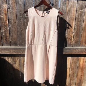 NWT J.Crew dress